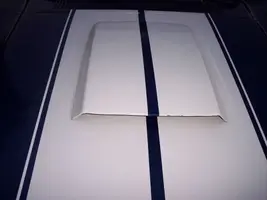 hood wrinkle small.webp