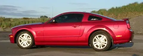 STANG 007.webp