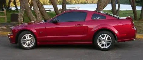 STANG 009.webp