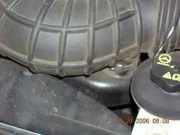DSCN0181.webp