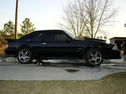 stang.webp