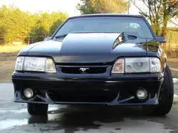 stang2.webp