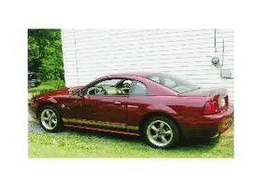 40th Anniversary G.T.S.E. Mustang.webp