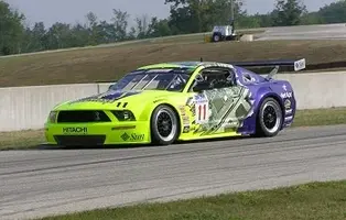 WC Mustang.webp