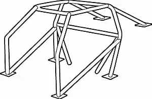10pointCage.webp