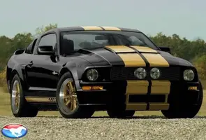 Black and Gold.webp