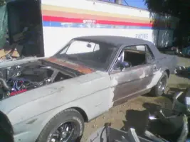 mustang1.webp