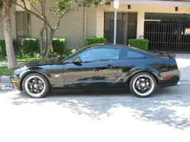 mywhip.webp