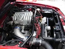 DSC00367.sized.webp