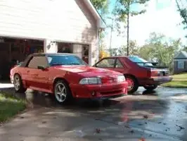 newstang.webp