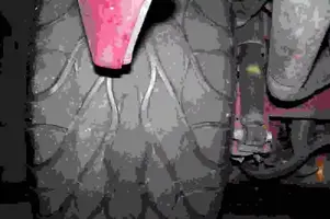 100_10861.webp