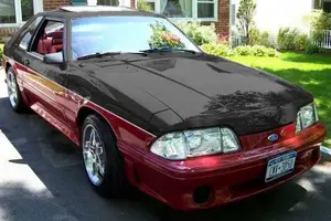 mustangchopped.webp