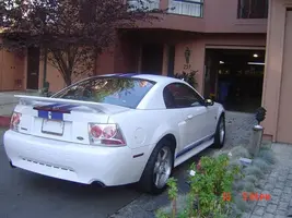 DSC01435.webp