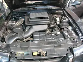 injin1 (Small).webp