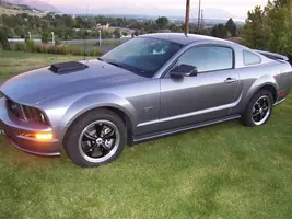Mustang 012 (Small).webp