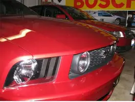 Stang.webp