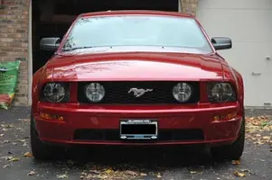 Mustang1.webp