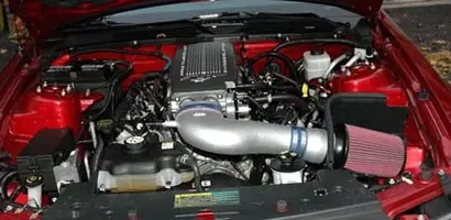 Mustang4.webp