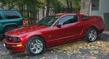 Mustang6.webp