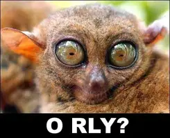 orly.webp