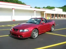 mybaby.webp