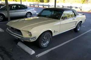 mustang_1.webp