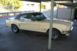 mustang_3.webp