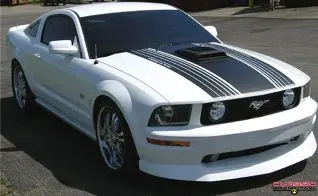 white_2005_Shaker.webp