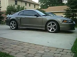 stang 1.webp