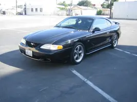 stang.webp