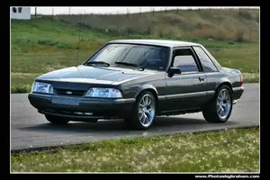 fox2.webp