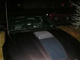 2 mustangs.webp
