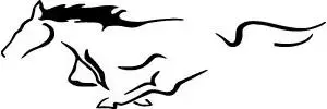 outline.webp