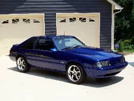 Dans Stang 2.webp