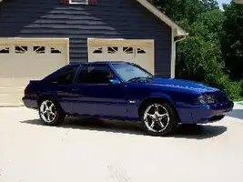 Dans Stang 3.webp