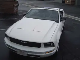 mymustang1.webp