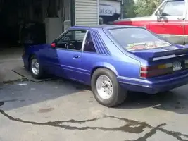 85mustback.webp