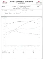 dynorun.webp