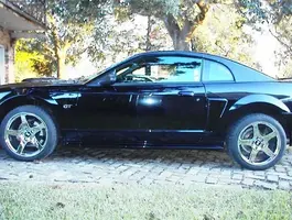 stang side.webp