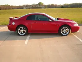 Current Mustang pic.webp