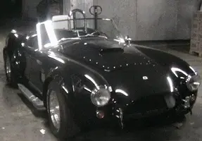 FFR Cobra.webp