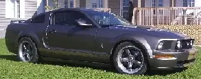 My Stang.webp