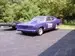 plum crazy.webp