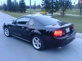 DSC00319(Medium).webp