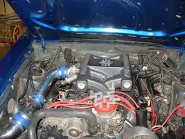 forum pic 2.webp