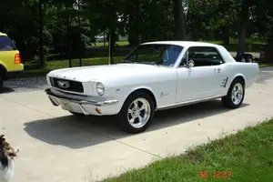 mustang 001.webp