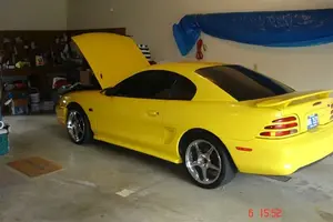 mustang 005.webp