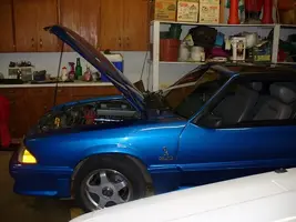 forum pic 5.webp