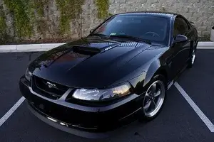 stang9.webp