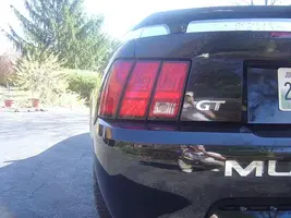 stang5.webp